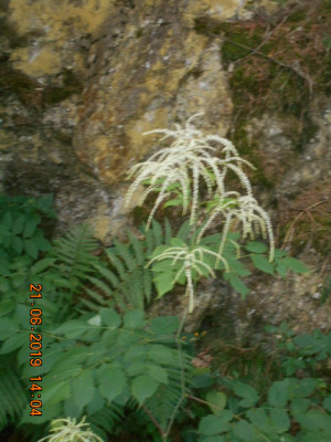 DSCN8394.jpg