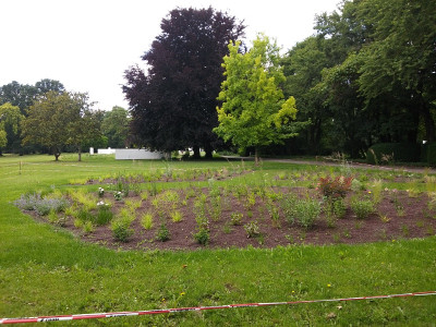 Ebertpark beete-neu.jpg