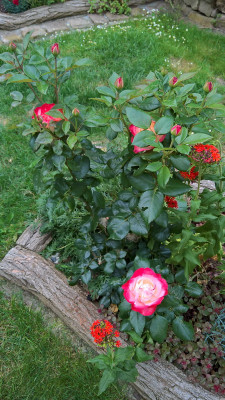nostalgie-brennendeliebe20190622.jpg