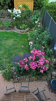 20190622a.jpg