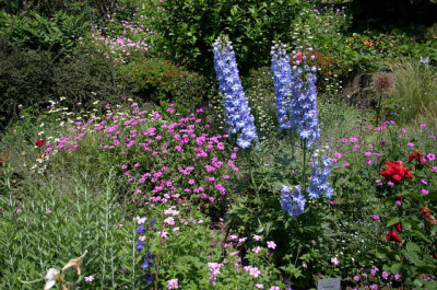 Mainau4607.jpg