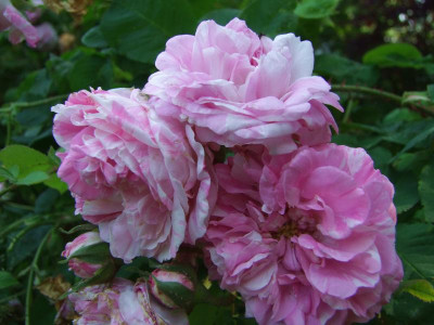 23.06.2019 11-29-17_12690.jpg
