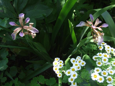 DSCF6673.JPG