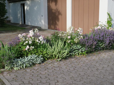 2019_06_GaragenbeetAktuell.png