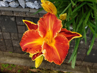 20190623_194834.jpg