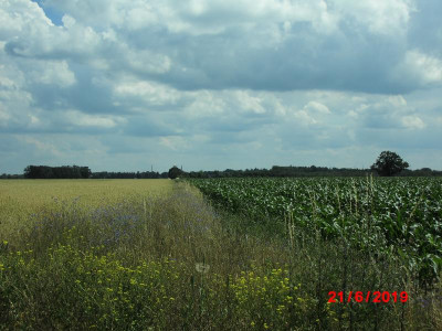DSCI0092.JPG