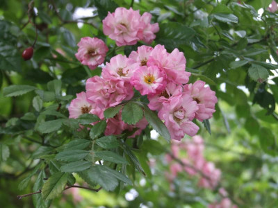 DSCF6631.JPG