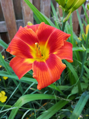 IMG_20190625_082558.jpg