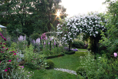 Morgenstimmung_1a.jpg