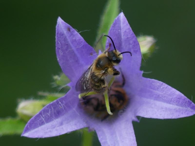 P1050845.JPG