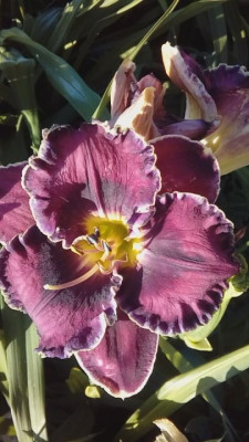 20190626_071025.jpg