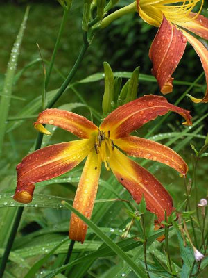 hem-samling-0024.jpg