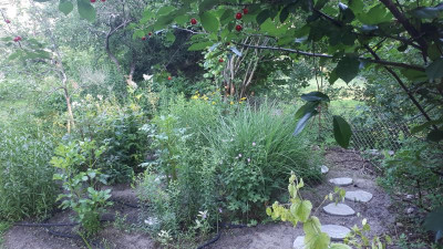 20190625_065329.jpg