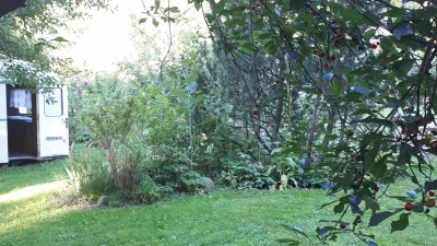20190625_065701.jpg