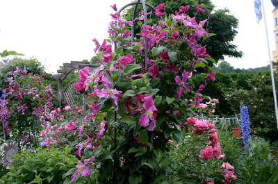 Cl.int.Pangbourne_Pink0507.jpg