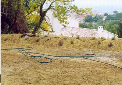 Krauterwall1.jpg