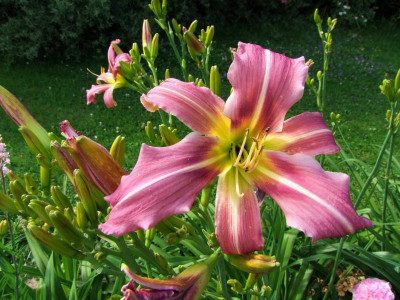 27.06.2019 21-21-18_12993.jpg
