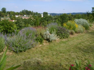 Krauter072.jpg