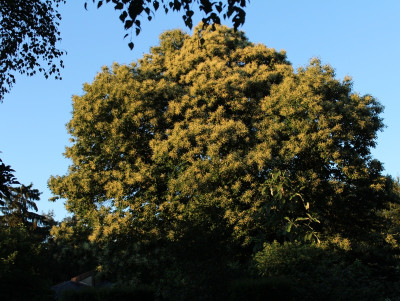 IMG_5346ß.jpg