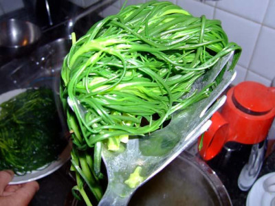 agretti.jpg