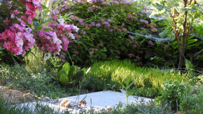 DSCN4512.JPG