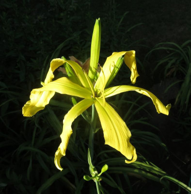 Green Inferno_8053.jpg