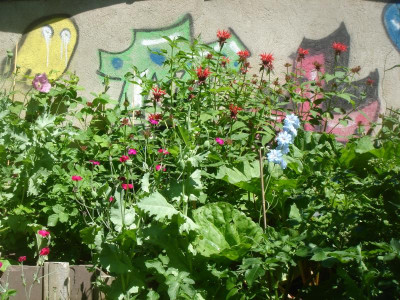 DSC06471.JPG