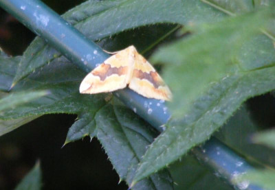 DSCF8773.JPG