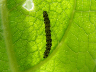 DSCF8740.JPG