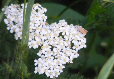 DSCF8833.JPG