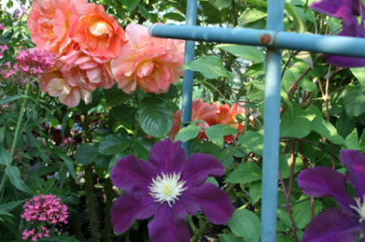 Westerland_mit_Clematis.jpg