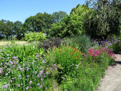 Sommerborder Ende Juni 2019.jpg