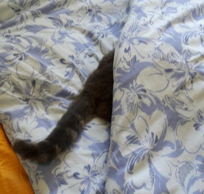 20190630_112100.jpg