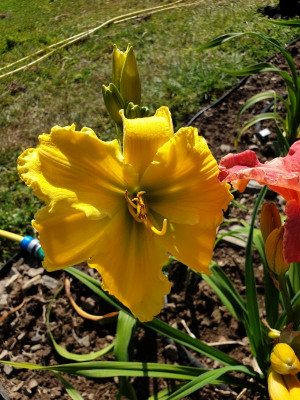 20190630_094628.jpg