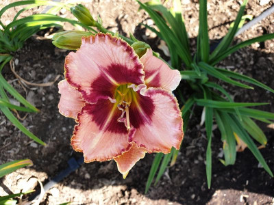 20190630_100319.jpg