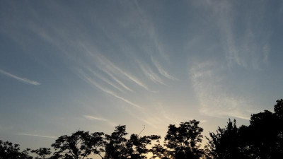 20190630_205847.jpg