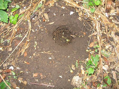 Der_ultimative_Bohrer_fars_2007.jpg