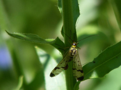 DSCF8860.JPG