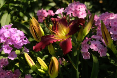 DSCF9707_4038.JPG