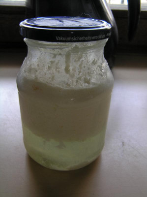 Milchkefir 1.Juli 2019 003.JPG