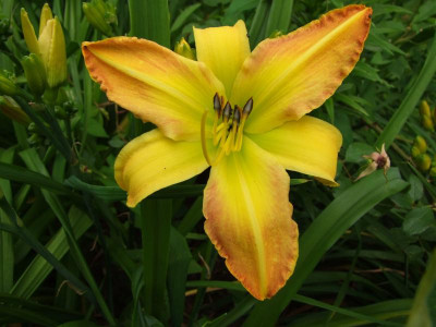 01.07.2019 11-16-34_13622.jpg