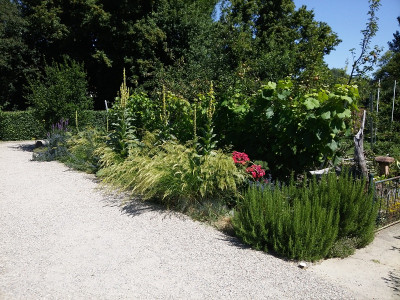 Vorbeet 19629.jpg