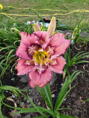 20190702_093147.jpg