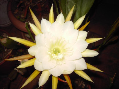 PICT2718.JPG