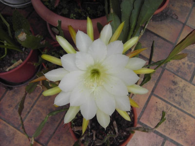 PICT2723.JPG