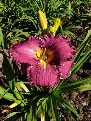 20190630_093337.jpg