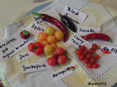 BILD0384.jpg