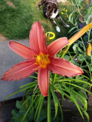 20190703_175626.jpg