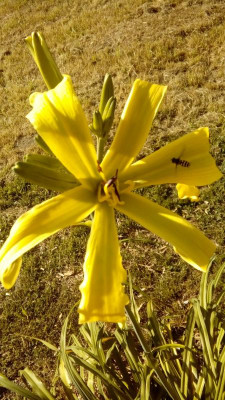 20190705_082455.jpg