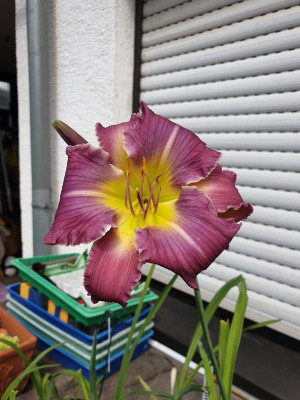 20190705_115931.jpg